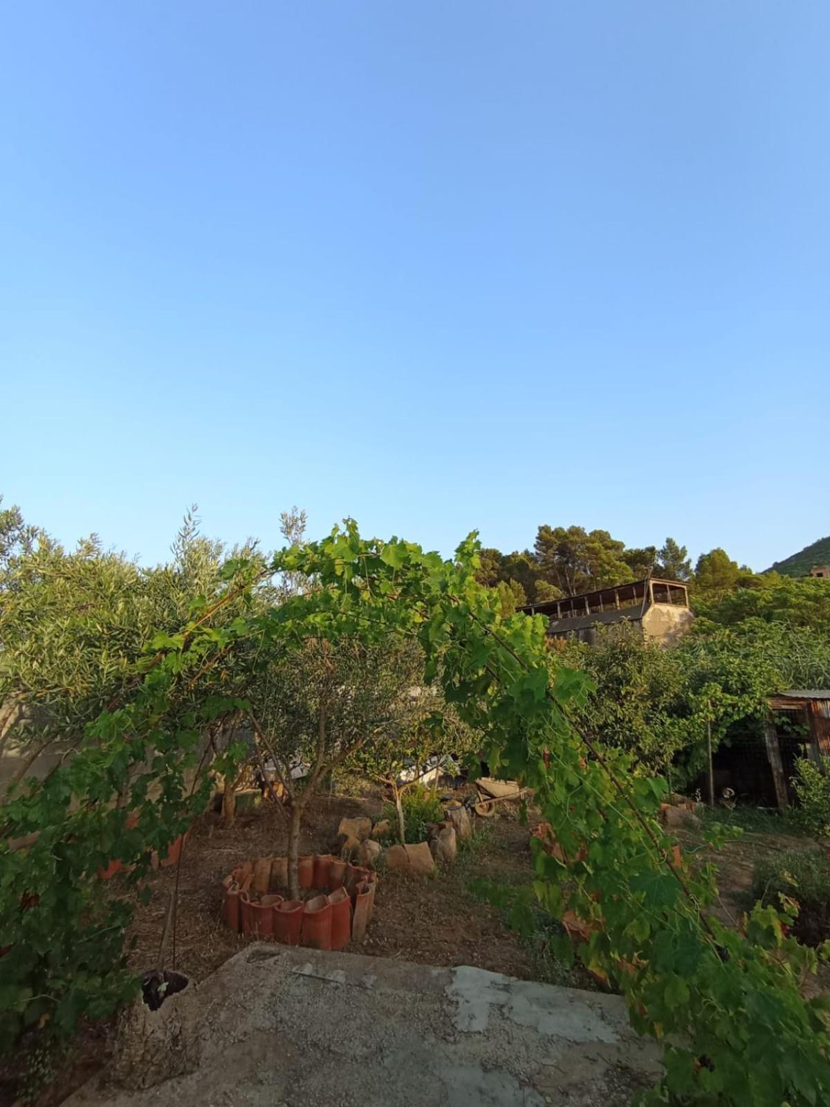 Oleandro Villa Iglesias Exterior photo